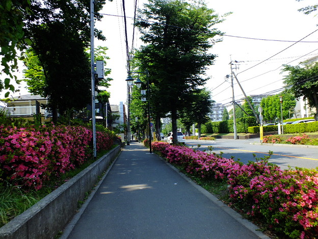 DSCF0301