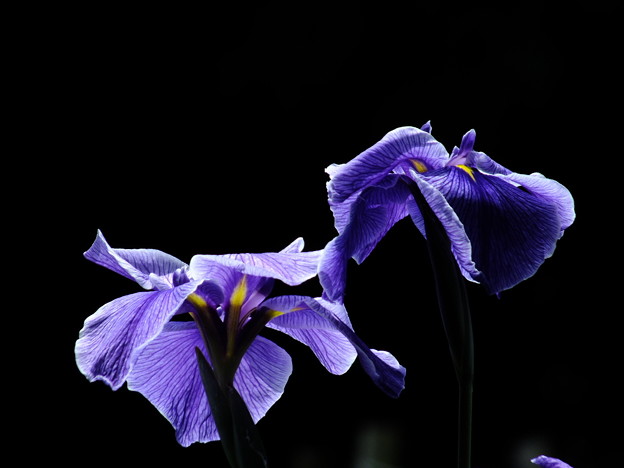 DSCF0211