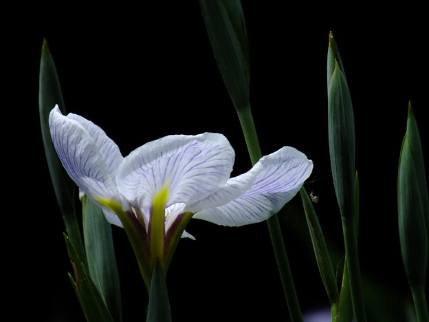 DSCF0136