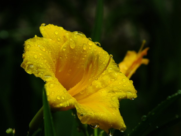 DSCF0008