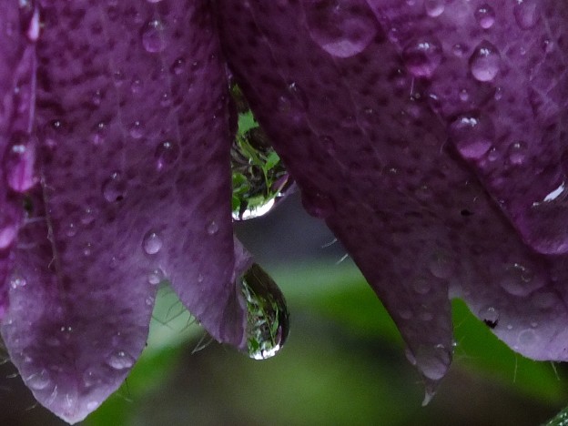DSCF0125b