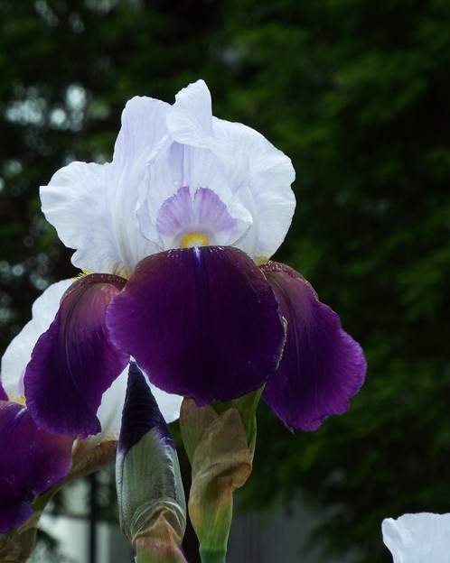 DSCF0140