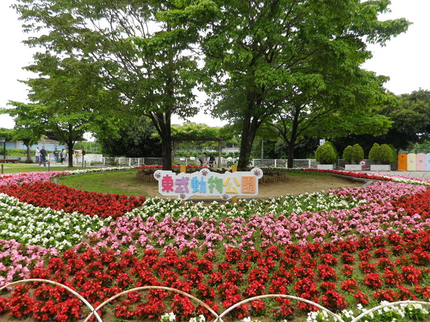 IMGP0119