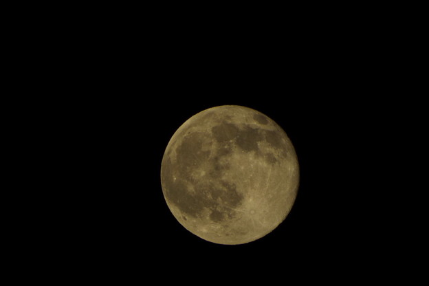 DSCF0009