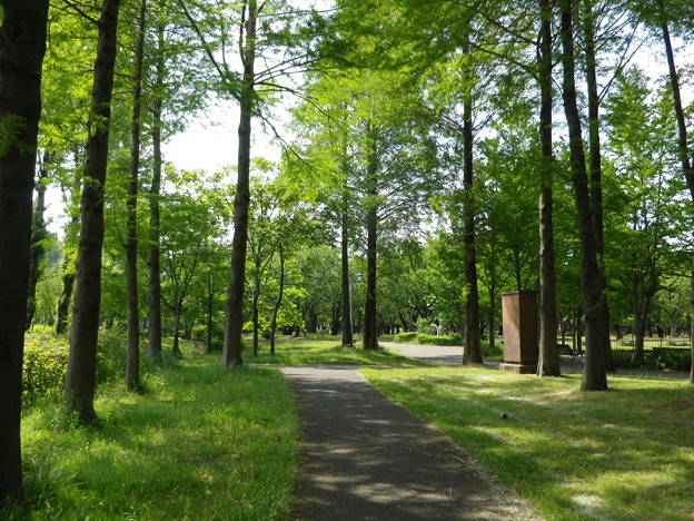 IMGP0044