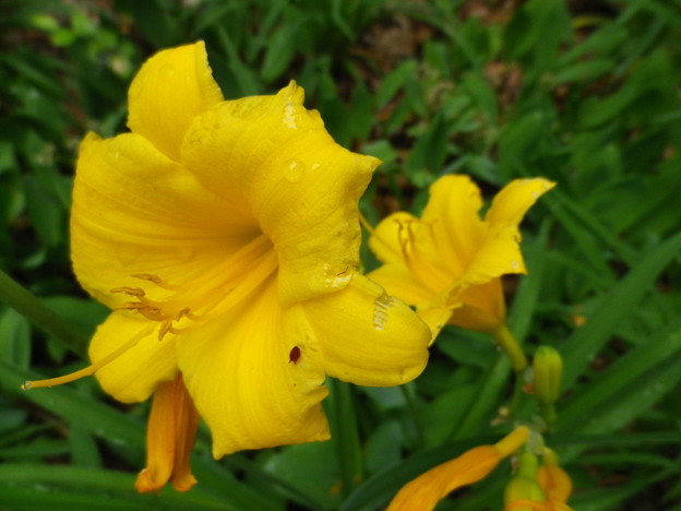 IMGP0033