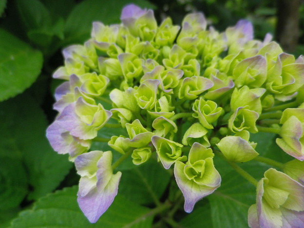 IMGP0357
