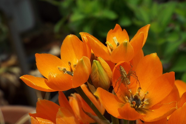 DSCF0056