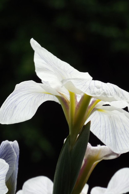 DSCF0084