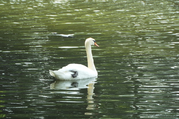 DSCF0152