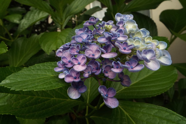 DSCF0045