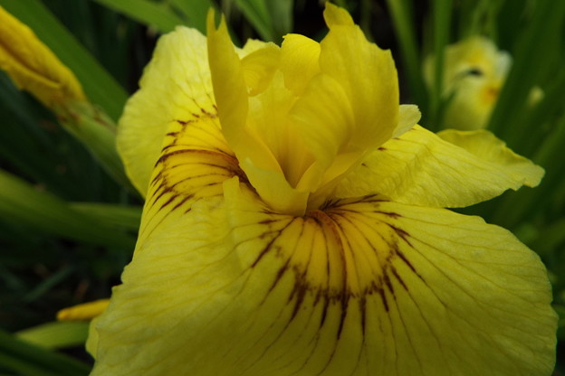 DSCF0139