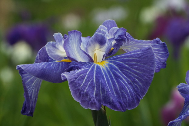 DSCF0454