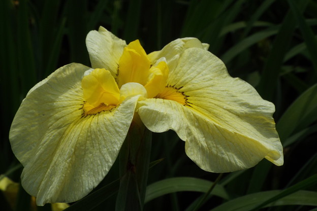 DSCF0569