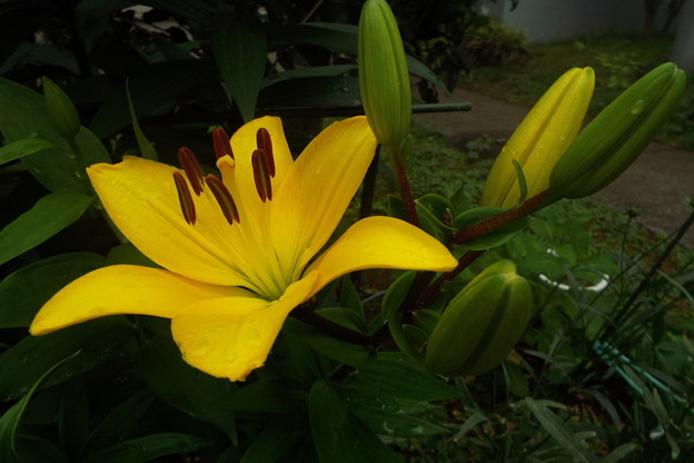 DSCF0049