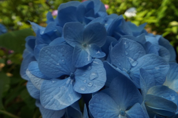 DSCF0551