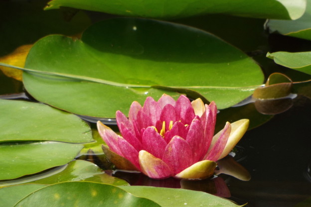 DSCF0599