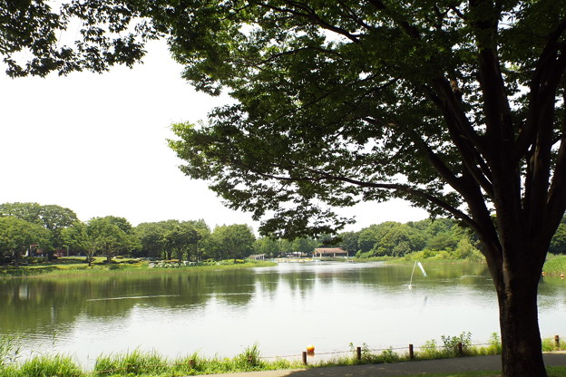 DSCF0412