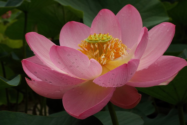 DSCF0033