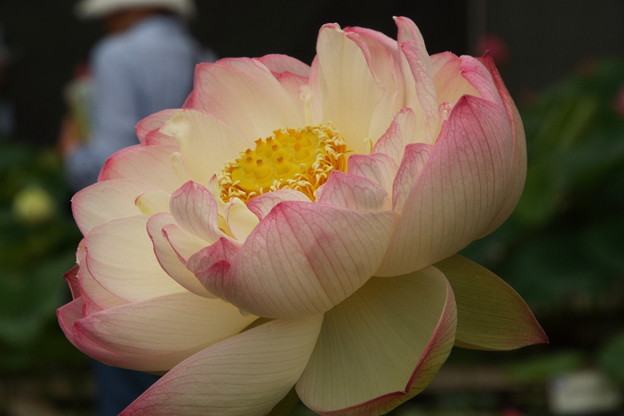 DSCF0150