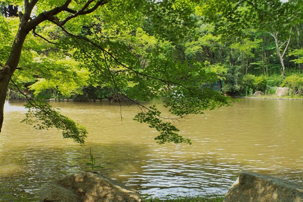 DSCF0402