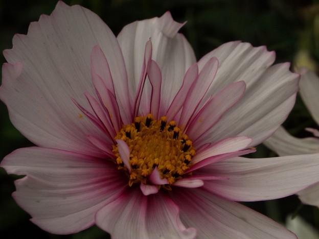DSCF0185