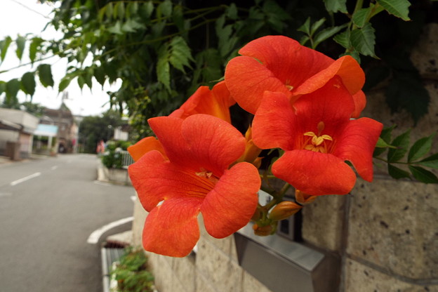 DSCF0240