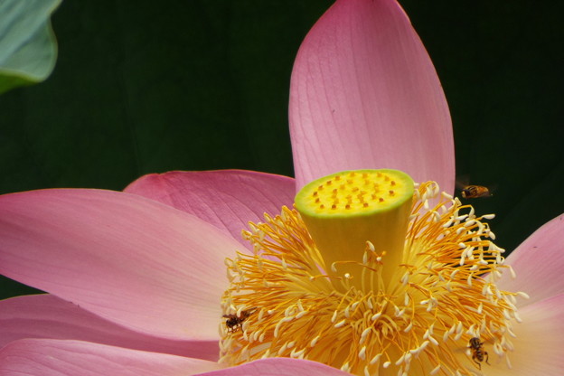 DSCF0057