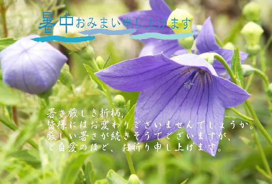 暑中29