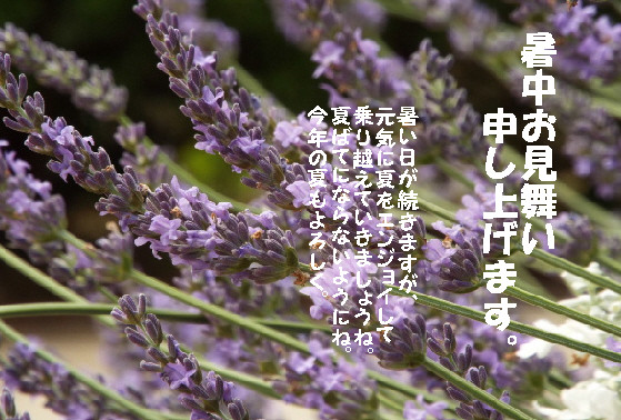 暑中30
