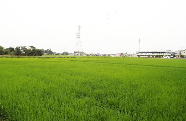 DSCF0372