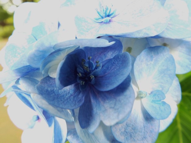 DSCF0174