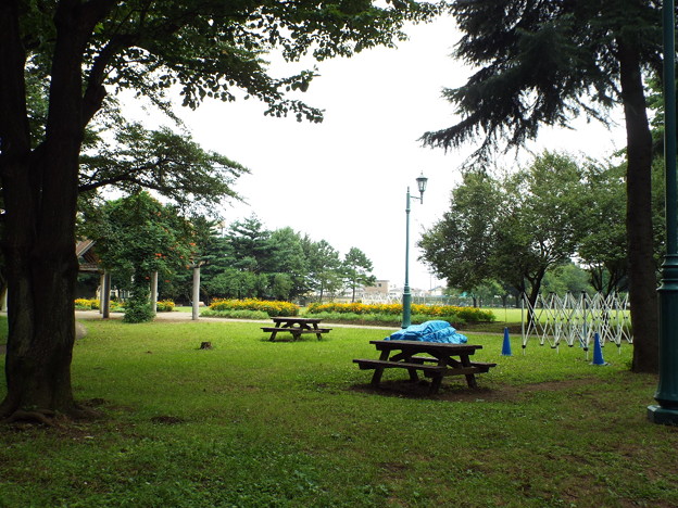 DSCF0037