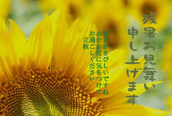 残暑6