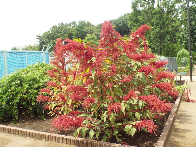 DSCF0130