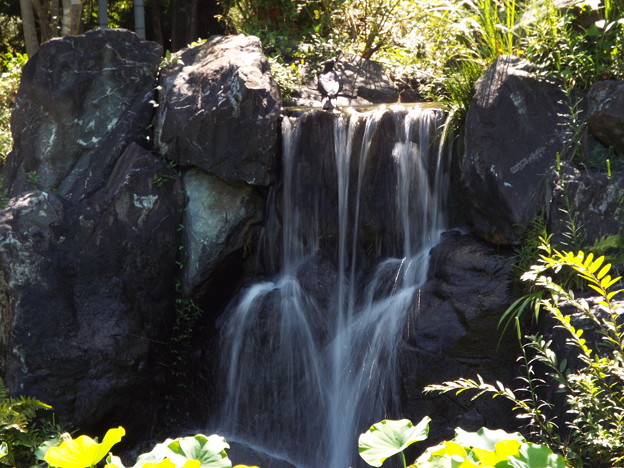 DSCF0034