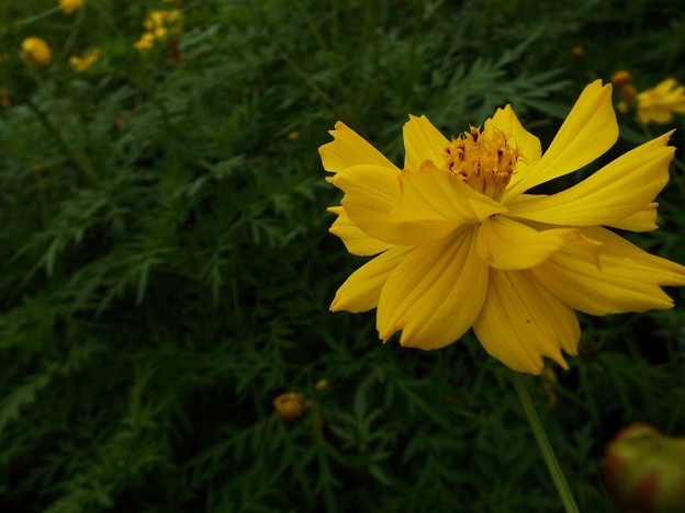 DSCF0408