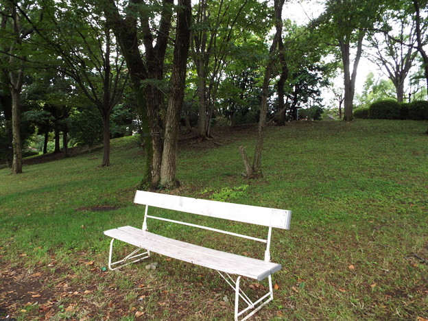 DSCF0002