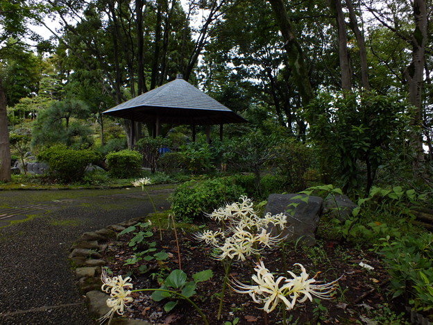 DSCF0012