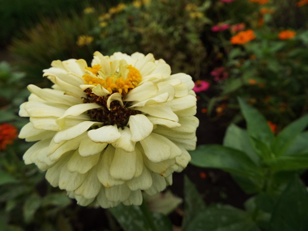 DSCF0034