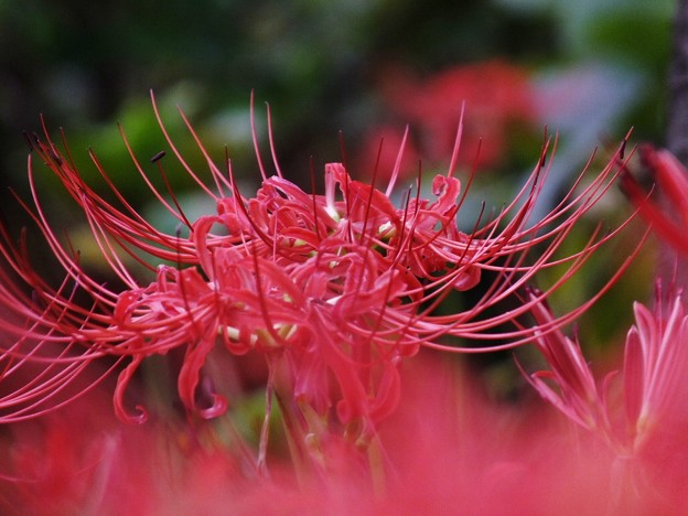 DSCF0048