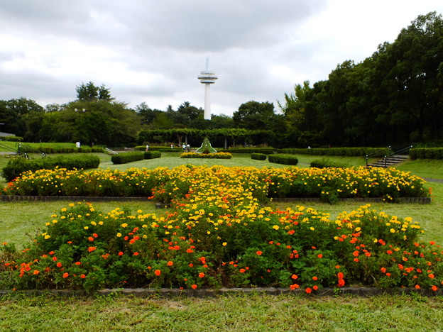 DSCF0426