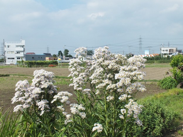 DSCF0300