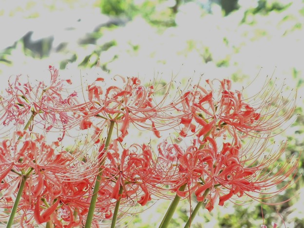DSCF0032