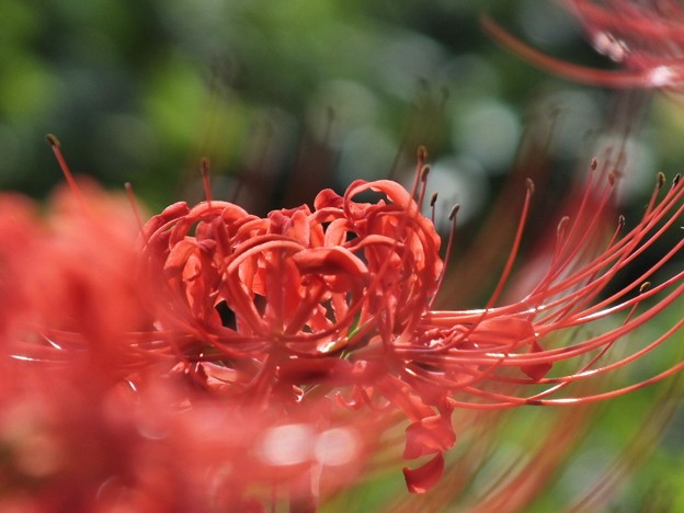 DSCF0099