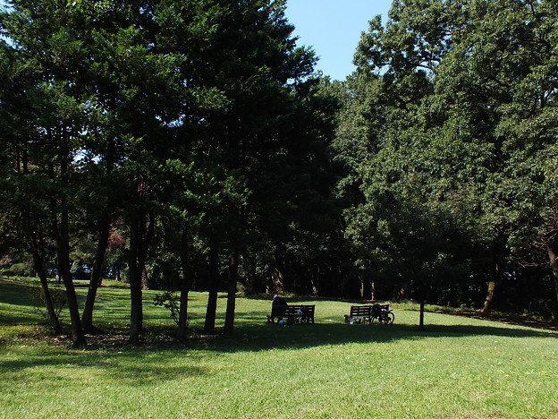 DSCF0003