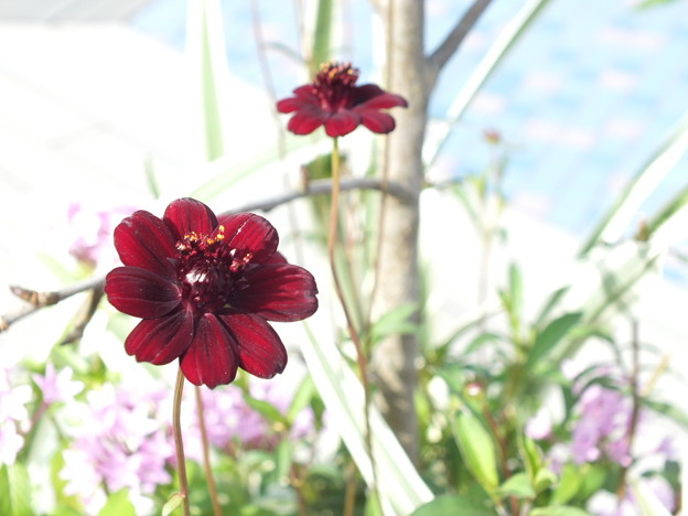 DSCF0757