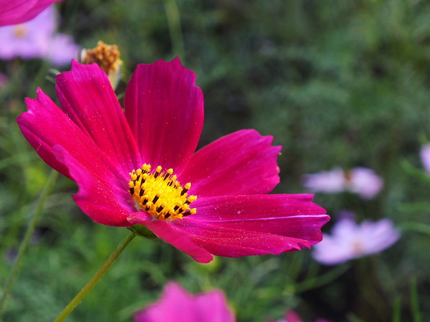DSCF0067