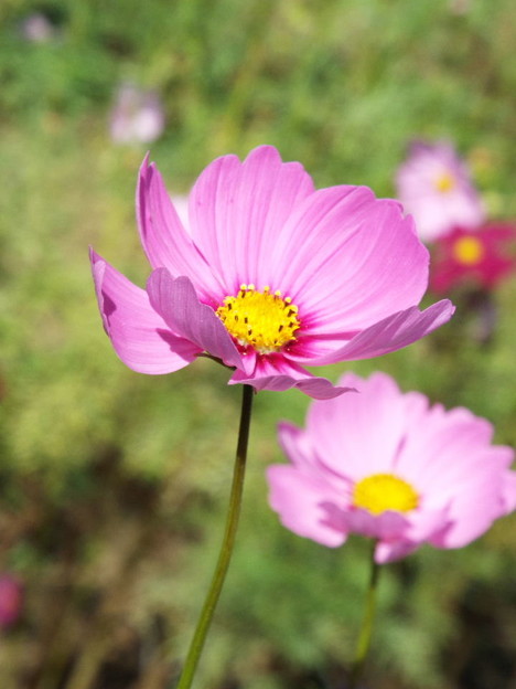 DSCF0054