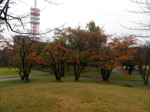 IMGP0015